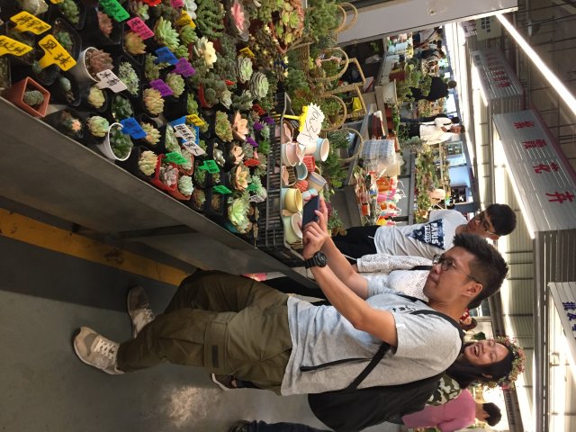 2017雲彩之旅